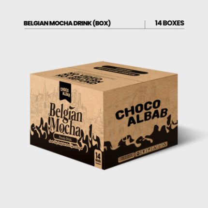 CARTON BELGIAN MOCHA DRINK